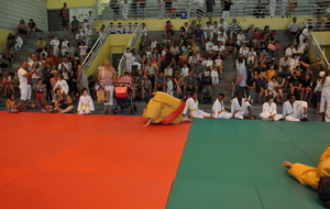53ab569948f80_DSC0030.JPG