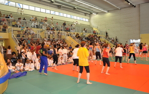 53ab56c777585_DSC0031.JPG