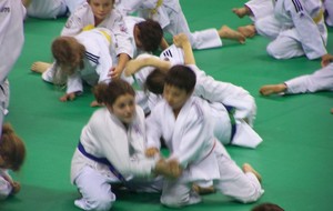 54b4381673287_1008595.JPG