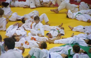 54b4381ebe49d_1008596.JPG