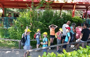 594a49663788d_20170610170449.jpg