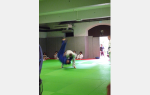 596ddadf631a0_P1110040.JPG