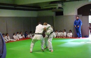 596ddae3195e1_P1110043.JPG